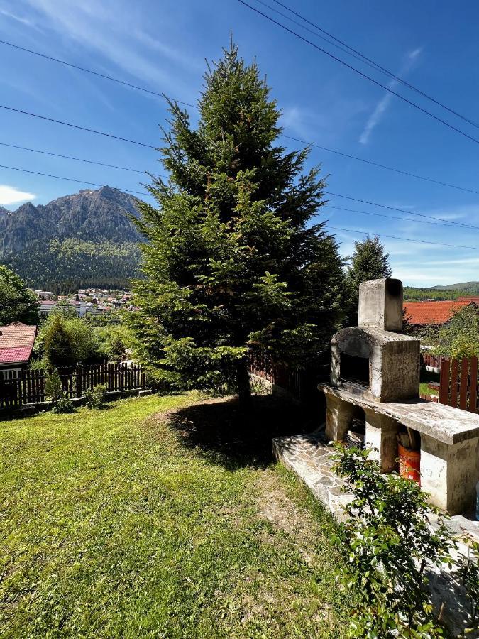 The Bear House 2 Vila Buşteni Exterior foto