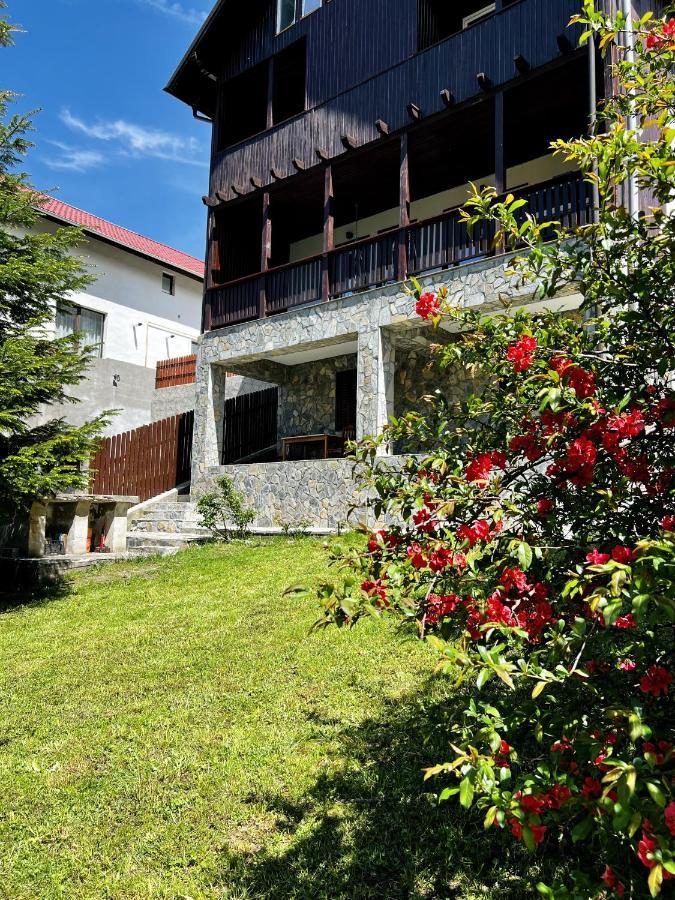The Bear House 2 Vila Buşteni Exterior foto